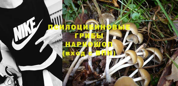 молекула духа Богородск