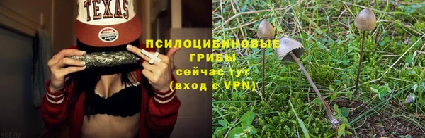 молекула духа Богородск