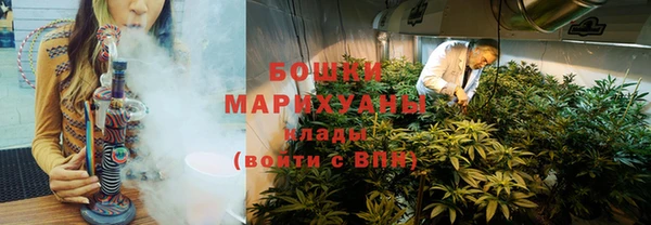 молекула духа Богородск