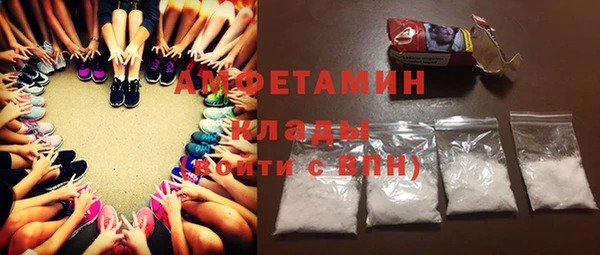 молекула духа Богородск