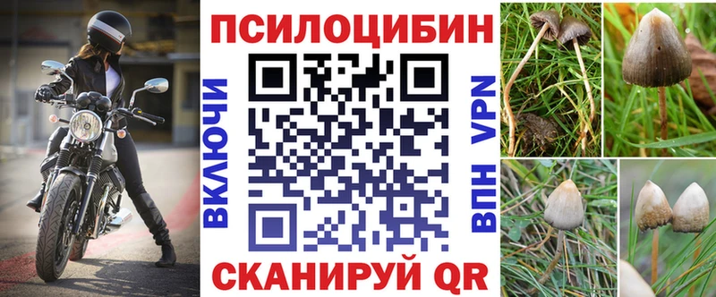 где можно купить   Грозный  блэк спрут онион  Галлюциногенные грибы прущие грибы 