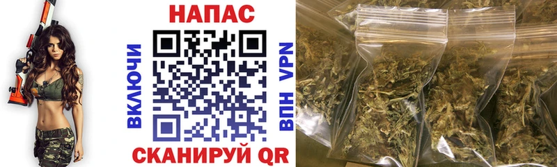 Конопля MAZAR  mega вход  Грозный 